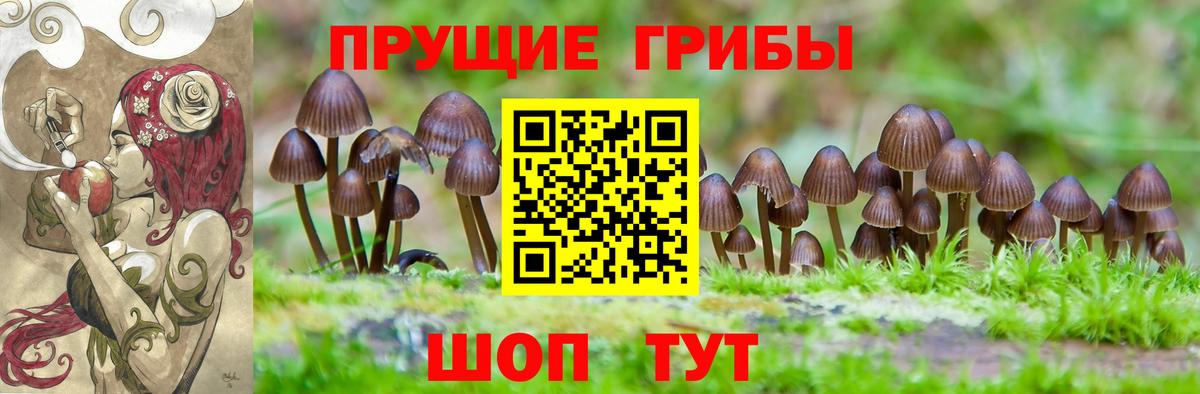 Псилоцибиновые грибы ЛСД  Псилоцибиновые грибы Psilocybine cubensis  Светлоград  Вход с VPN 